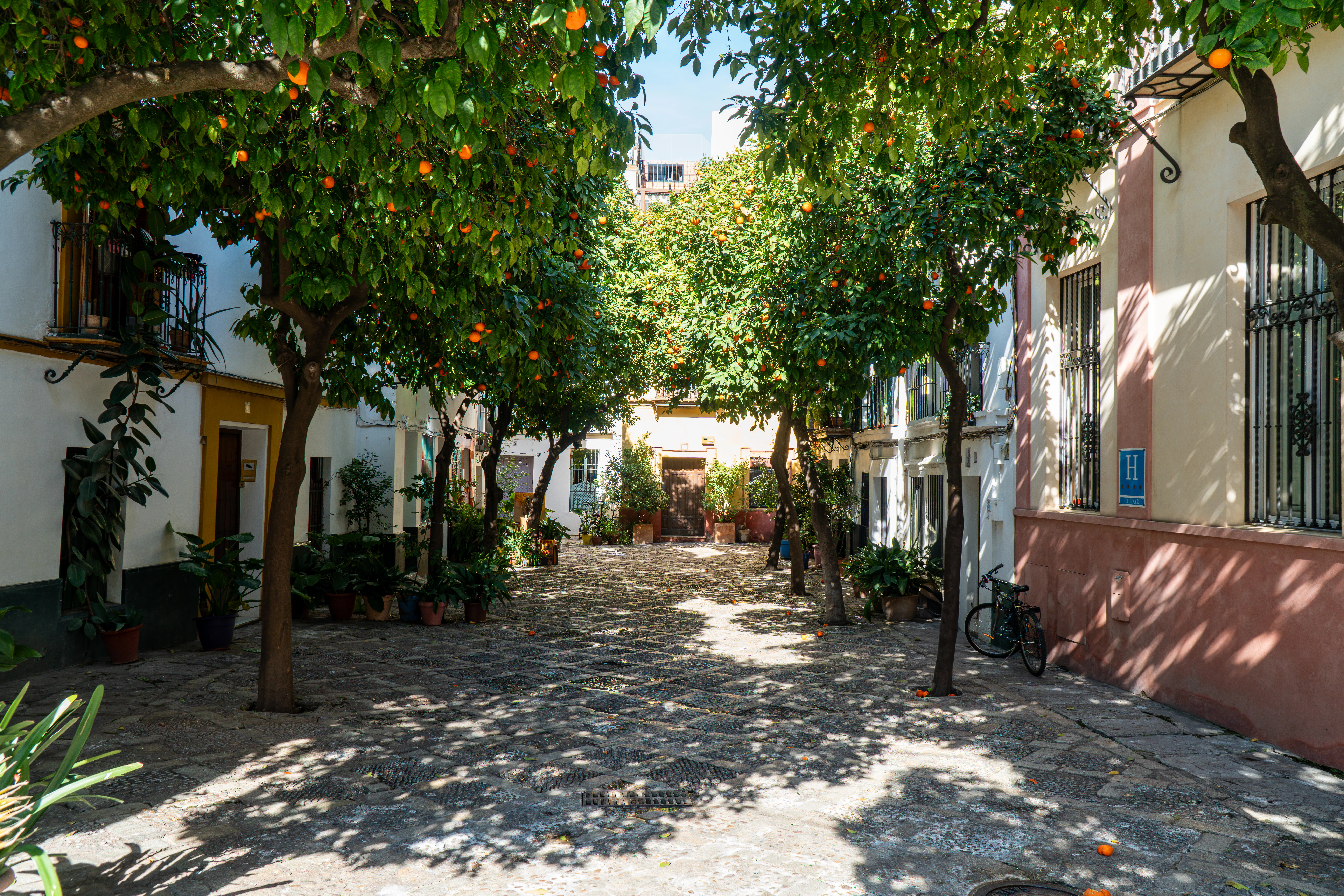 Barrio Santa Cruz